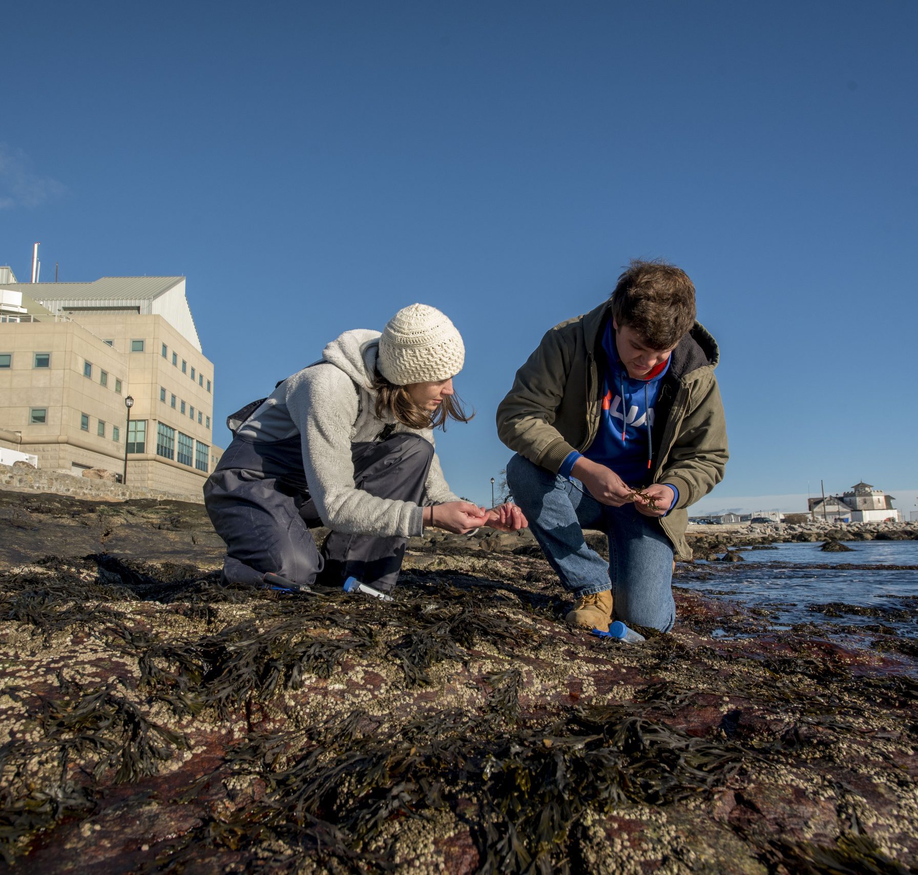 Chris Mills ’18 Marine Science, and Assistant Professor Catherine Matassa working on a research project at UConn Avery Point on Nov. 29, 2018. (Sean Flynn/UConn Photo)